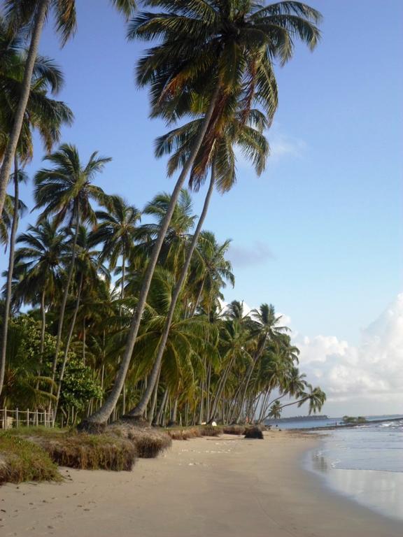 Carneiros Beach Resort Praia dos Carneiros Bagian luar foto